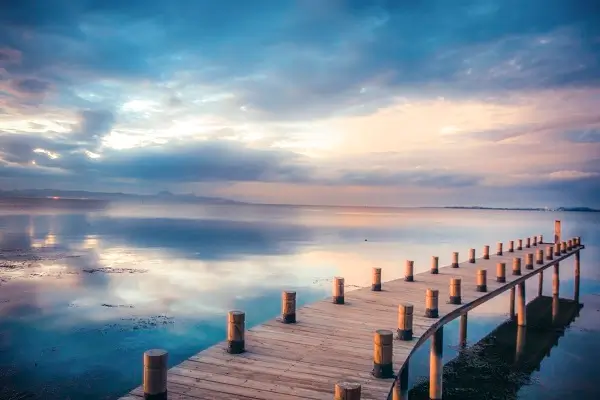 析产适用什么法律