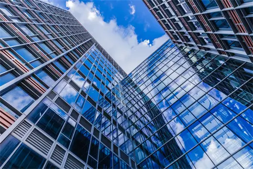 眼睛法律吃什么